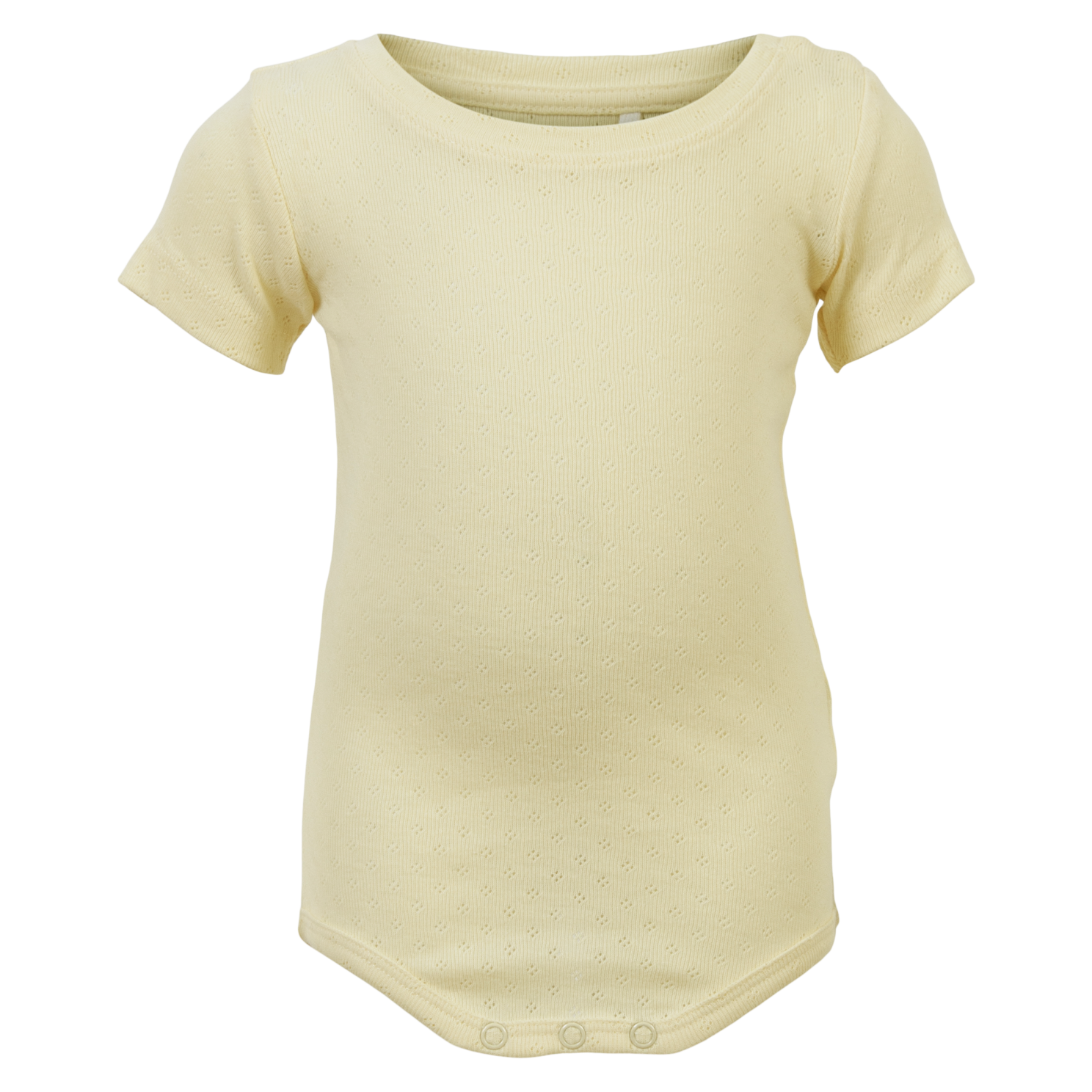 Double Cream Guppy Harai Baby Body - Guppy  - 5715417091071