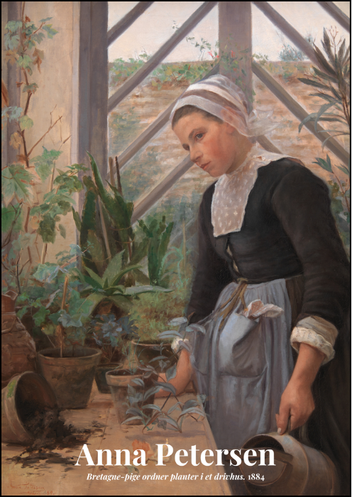 Rosa Bretagne Pige Ordner Planter Drivhus Anna Petersen - Anna Petersen